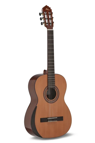 Manuel Rodriguez TRADICÍON Classic 4/4 size