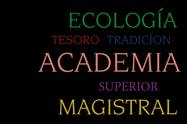 DISCOVER OUR NEW SERIES